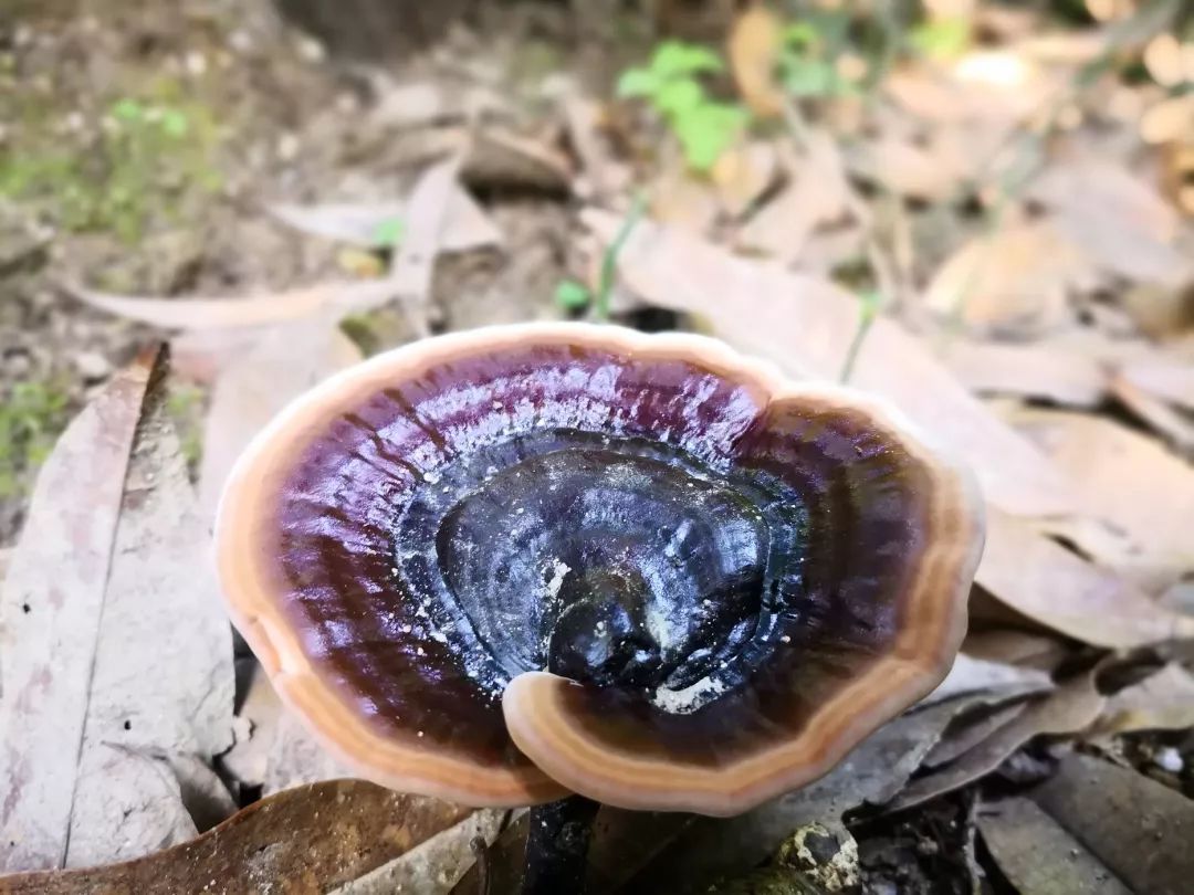 跟我走吧带你去旅行合拍,跟我走吧我带你去旅游完整版