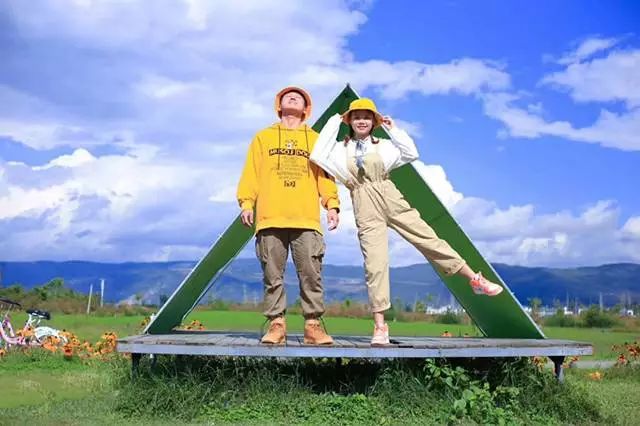 大理云海花海,大理花海漫步