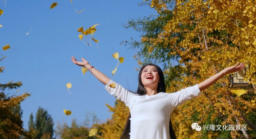 巴山夜雨电影1980,巴山夜雨1980老电影