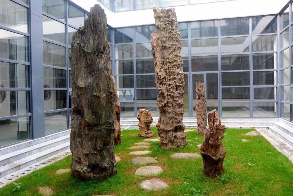 婺源博物馆镇馆之宝,婺源文博公园