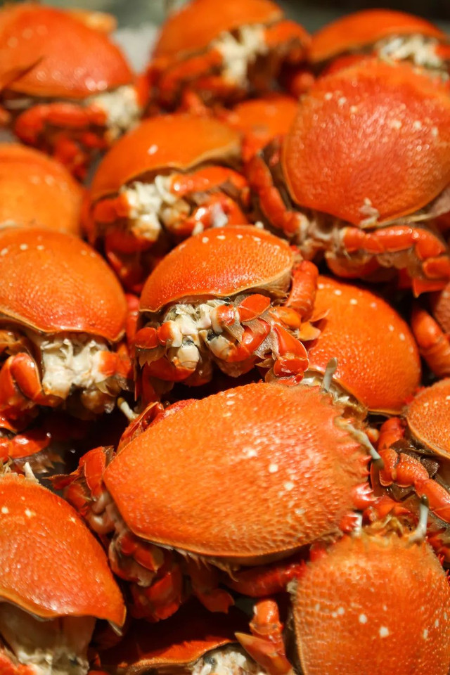 郑州好吃的海鲜自助餐厅推荐,让你一次吃个够的海鲜自助餐厅