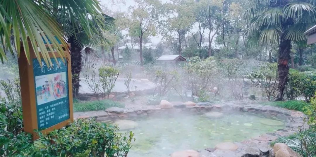 松江区比较好的酒店,上海松江高档温泉酒店