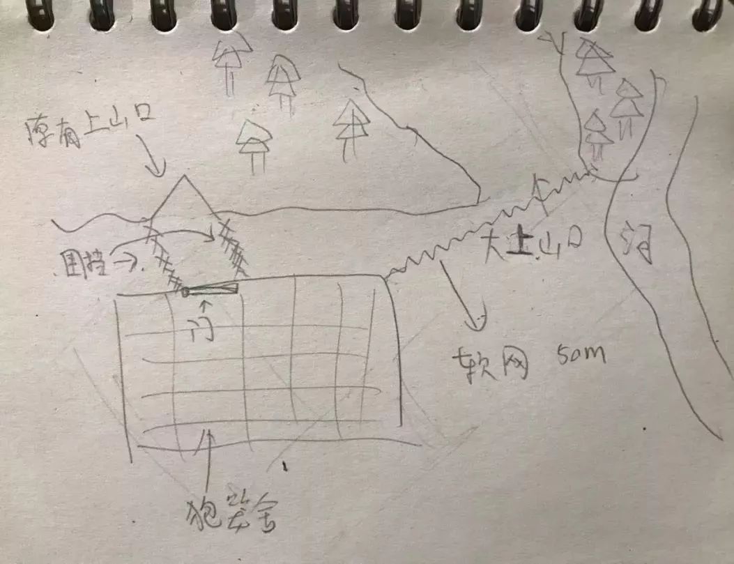 为什么救助狍子要用白布捂眼睛,救助狍子该送哪里