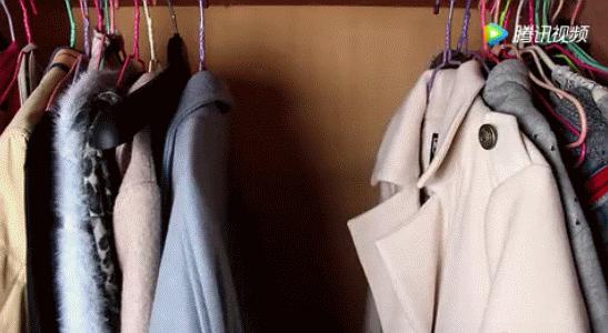 衣柜潮湿生虫子怎么处理,衣柜缝隙里有大虫子怎么办