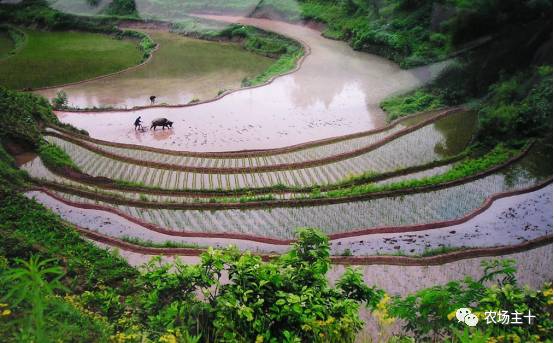 土地流转只是少数人的盛宴，大多数人都亏得惨不忍睹？！