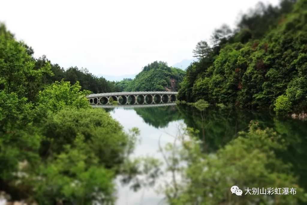 领取夏季福利通知,广大同胞们的夏季福利