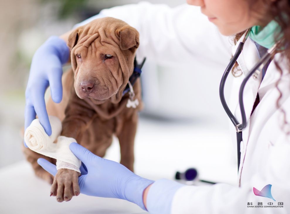 什么是破伤风感染的四项措施,什么是破伤风