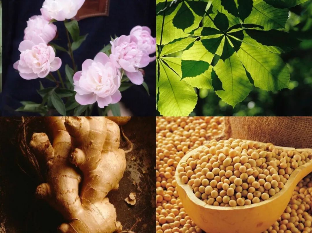 十大好用保湿抗皱精华,十大胶原蛋白护肤品