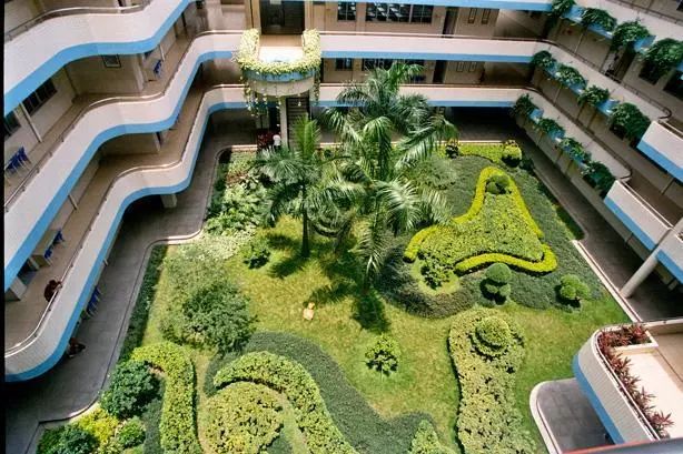 佛山最受家长欢迎的小学TOP5，你的学校上榜了吗？