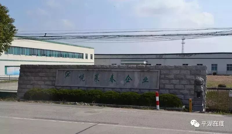 广陈羊毛衫直营店,广陈镇羊毛衫