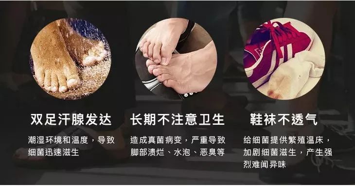 愿生活有惊喜愿喜欢有回应,希望生活有惊喜希望喜欢有回应