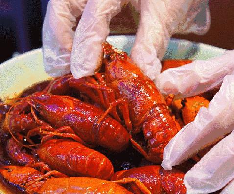 1元门票泼水节,石燕湖电音泼水节在哪