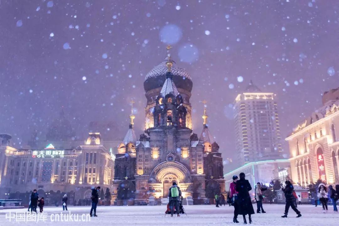 哈尔滨师范大学东三省,哈师大东三省实力排名