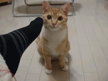 脚臭怎么办教你除臭小妙招,脚痒脚臭怎么办教你除臭方法