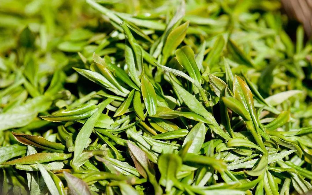 龙井茶每日一茶,龙井茶一天中最佳饮茶时间