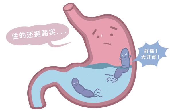 阿莫西林能彻底根除幽门螺杆菌吗,幽门螺杆菌杀一次失败了怎么办