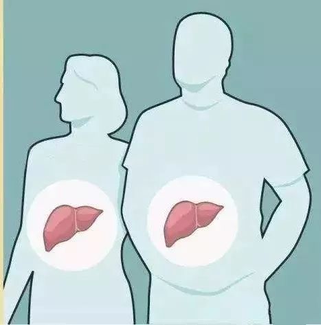 控制脂肪肝，首选营养治疗