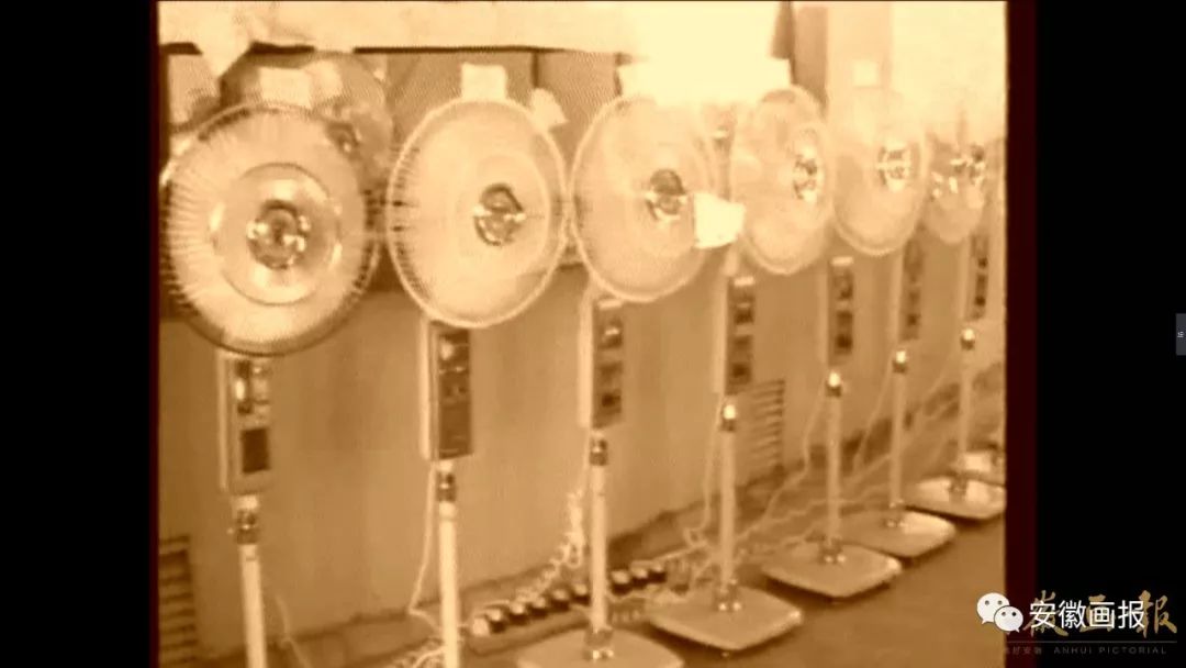 扬子集团董事长宣中光,扬子品牌创始人宣中光