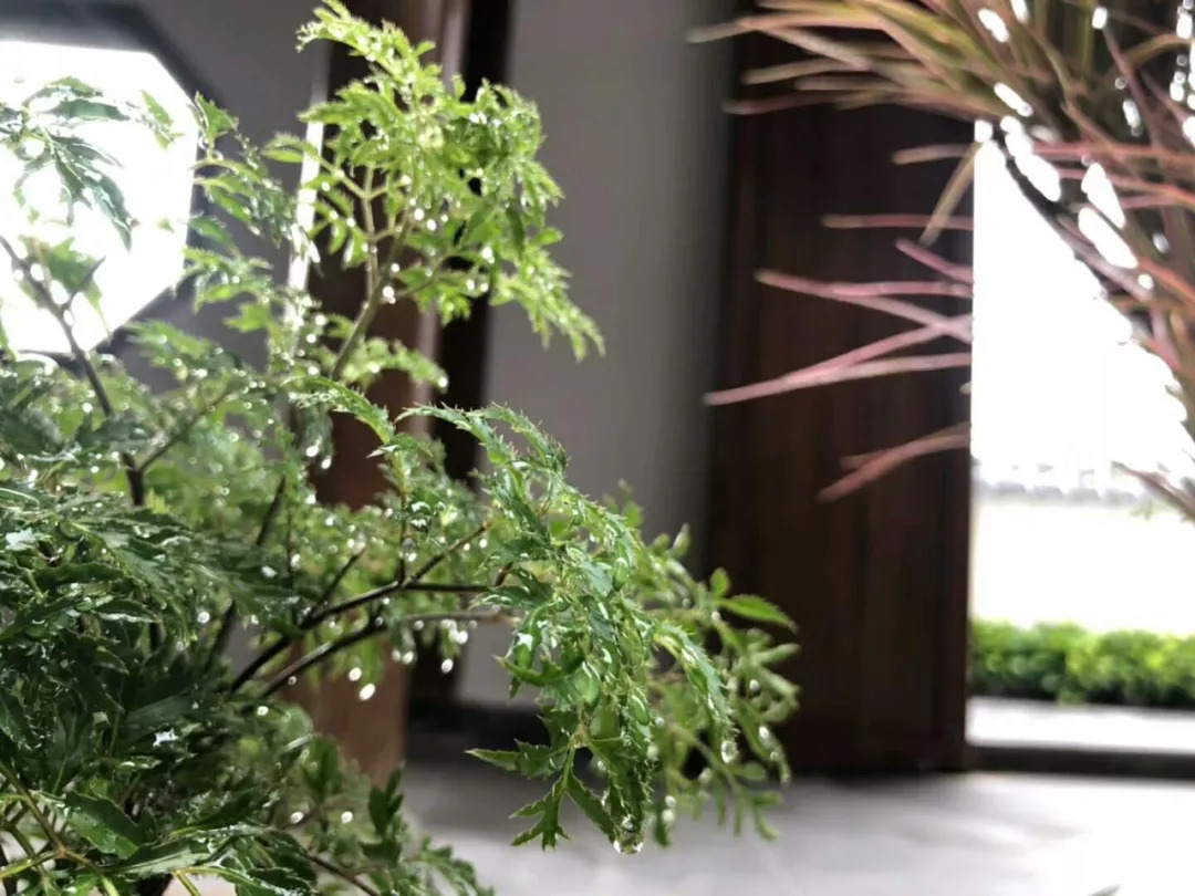 教育的经典对联大全集锦,最好的家教都写在这25副对联里