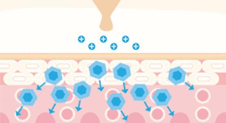 为什么能从鼻头上挤出白色的东西,鼻子挤出来的白丝是什么