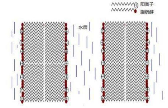 宝洁和联合利华产品对比,宝洁联合利华国货