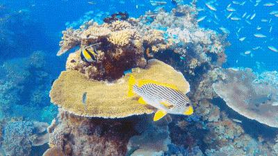 六一儿童节游玩玩些什么,六一玩乐全攻略