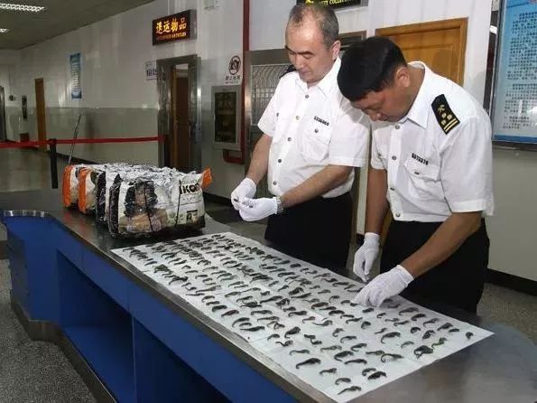 香港最新税制,香港宣布调整印花税