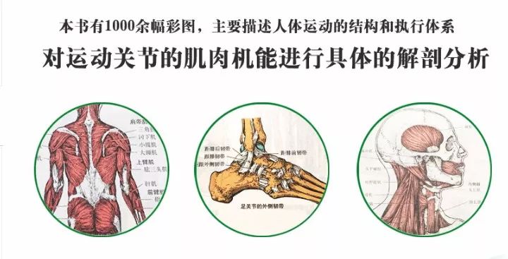 康复人必学的解剖教程/视频/电子书大合集，点击领取