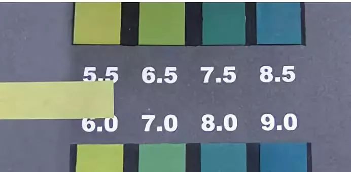 卖疯了！澳洲平价绵羊油，秋冬补水保湿首选，一罐用全身，英国女王都打call