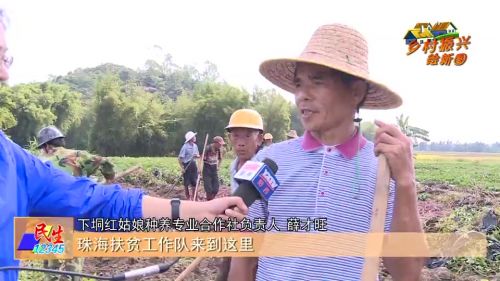 红姑娘农产品,防城区红姑娘红薯