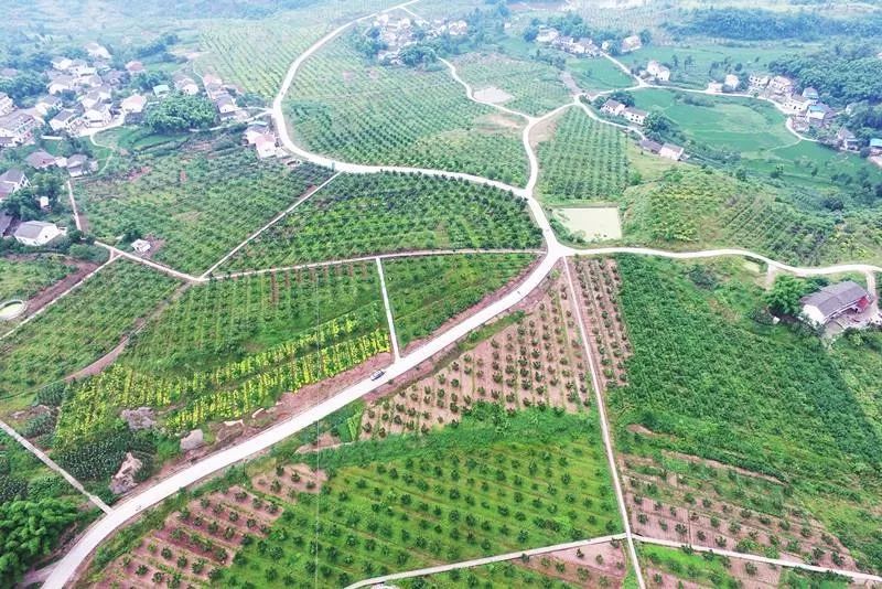 广安乡村振兴示范村有哪些,广安示范村名单