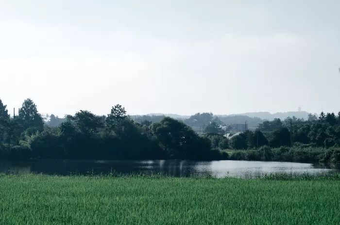 爆红日本的乡间面包店,爆红日本的乡间小店