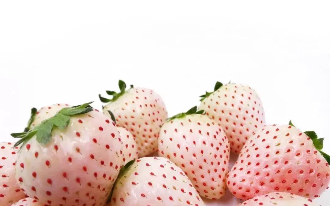 现在吃的蔬菜是不是都是转基因的,哪些是非转基因的蔬菜