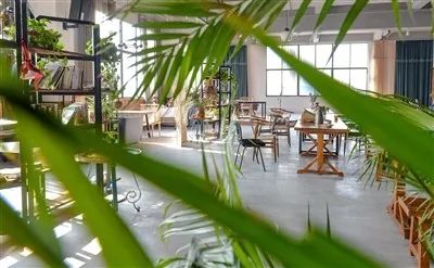 双11晒单大家都买什么,晒晒你的双11账单