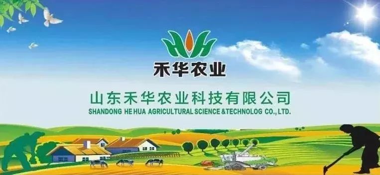 鍐滅敤楂樼鍔╁墏,缇庡浗杩堝浘鏉板姏璇氶珮鏁堟鐗╂补鍔╁墏