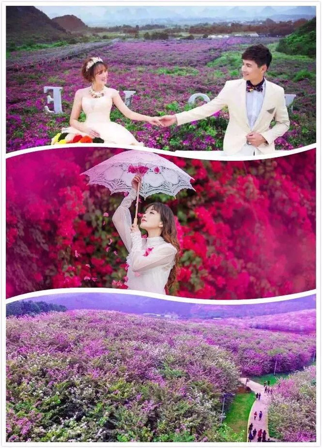 「重磅消息」重庆稻草人旅游节暨玫瑰花海门票无限免费送！5月1日黄金周，我们约起！