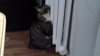 暖气里面有气为何就不热,暖气里有没有气怎么知道