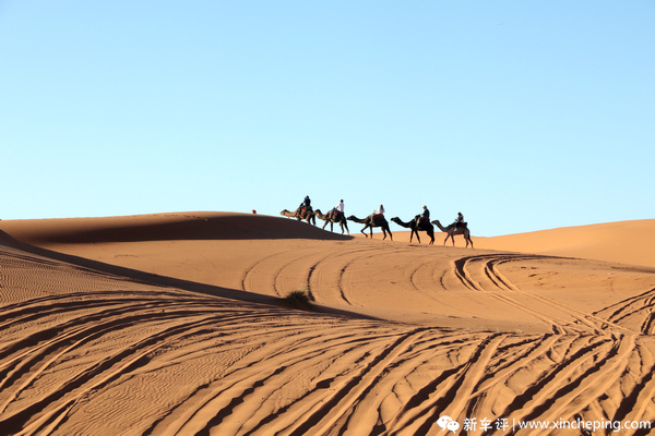 涓滈鏃ヤ骇lcv瓒婇噹瑙嗛,鏃ヤ骇lcv璇曢┚瑙嗛