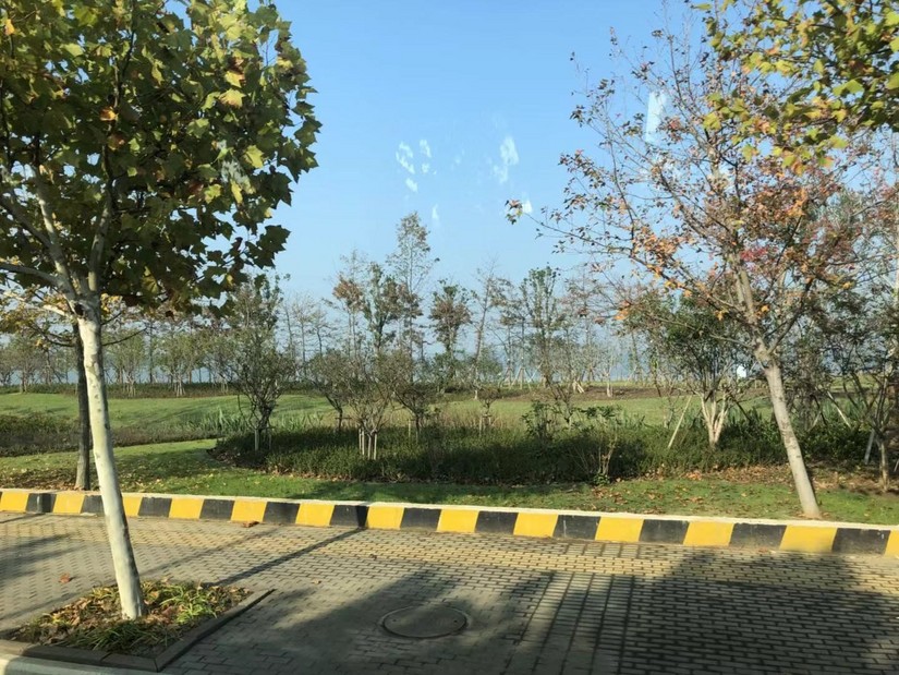 阳澄湖春季游玩攻略大全,阳澄湖秋天最美的地方