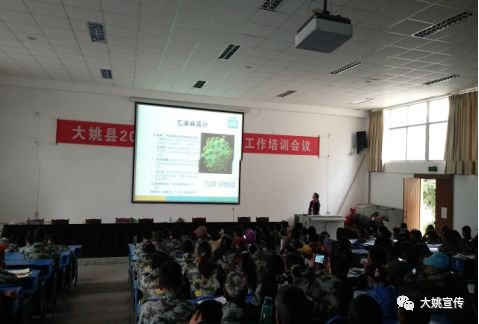 云南云海肴,云南云海肴总部电话