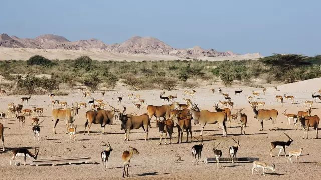 就怕土豪有文化,就怕穷的有文化