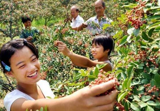 未来十年农业种什么最赚钱,现在种植农作物什么最赚钱