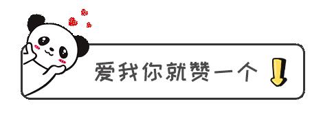 海缸珊瑚的饲养,海缸新手入门详细教程及注意事项
