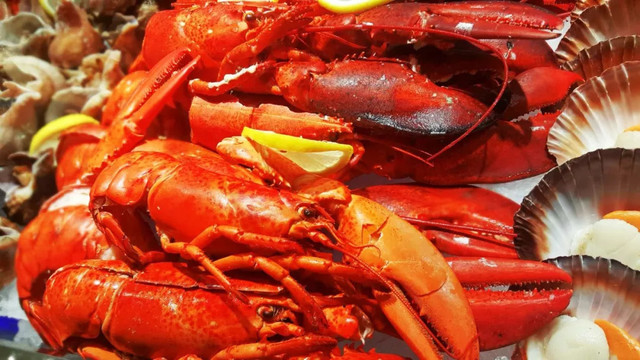 帝王蟹1499元,帝王蟹1299元