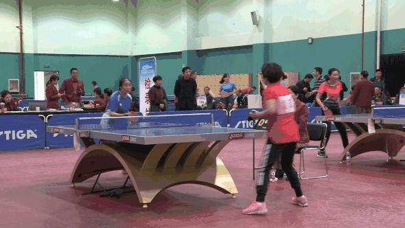 乒乓球跃动,激情飞扬乒乓球比赛