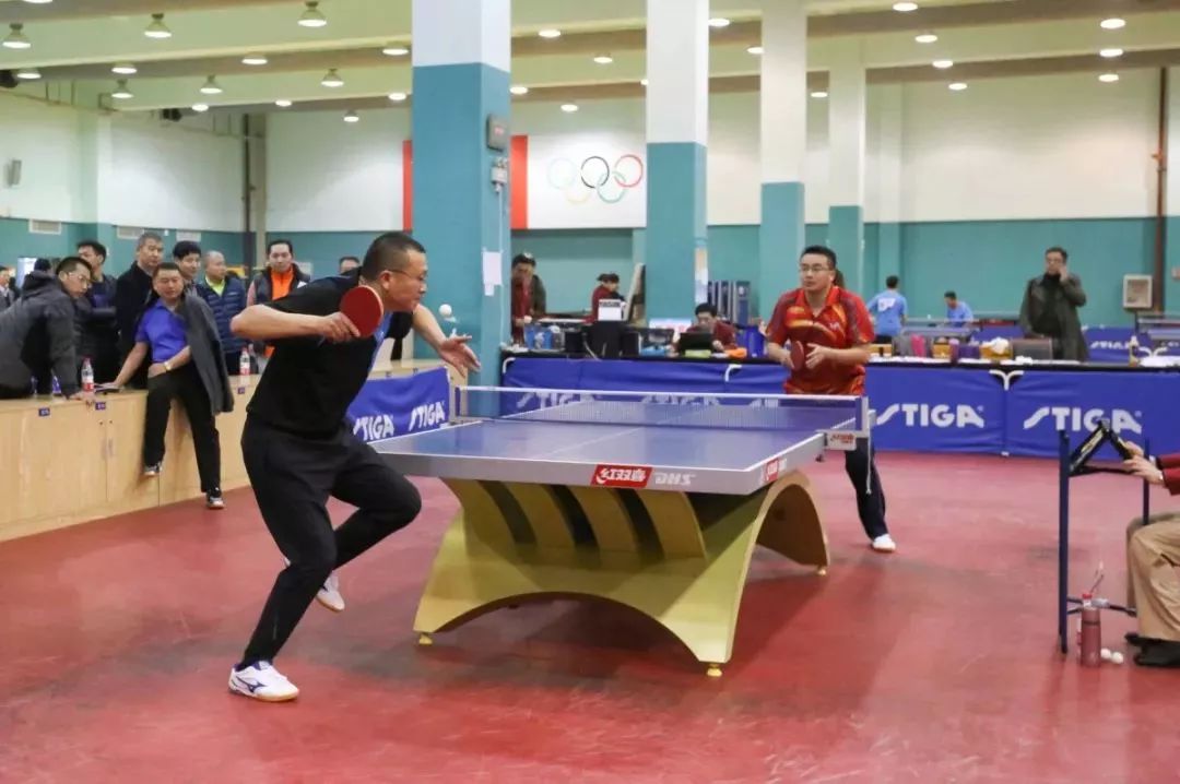 乒乓球跃动,激情飞扬乒乓球比赛