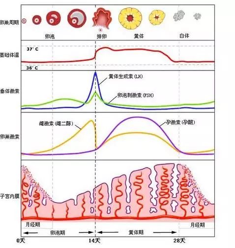 异地恋、姐弟恋陆续见光死,女人如何掌舵成为幸福操盘手?