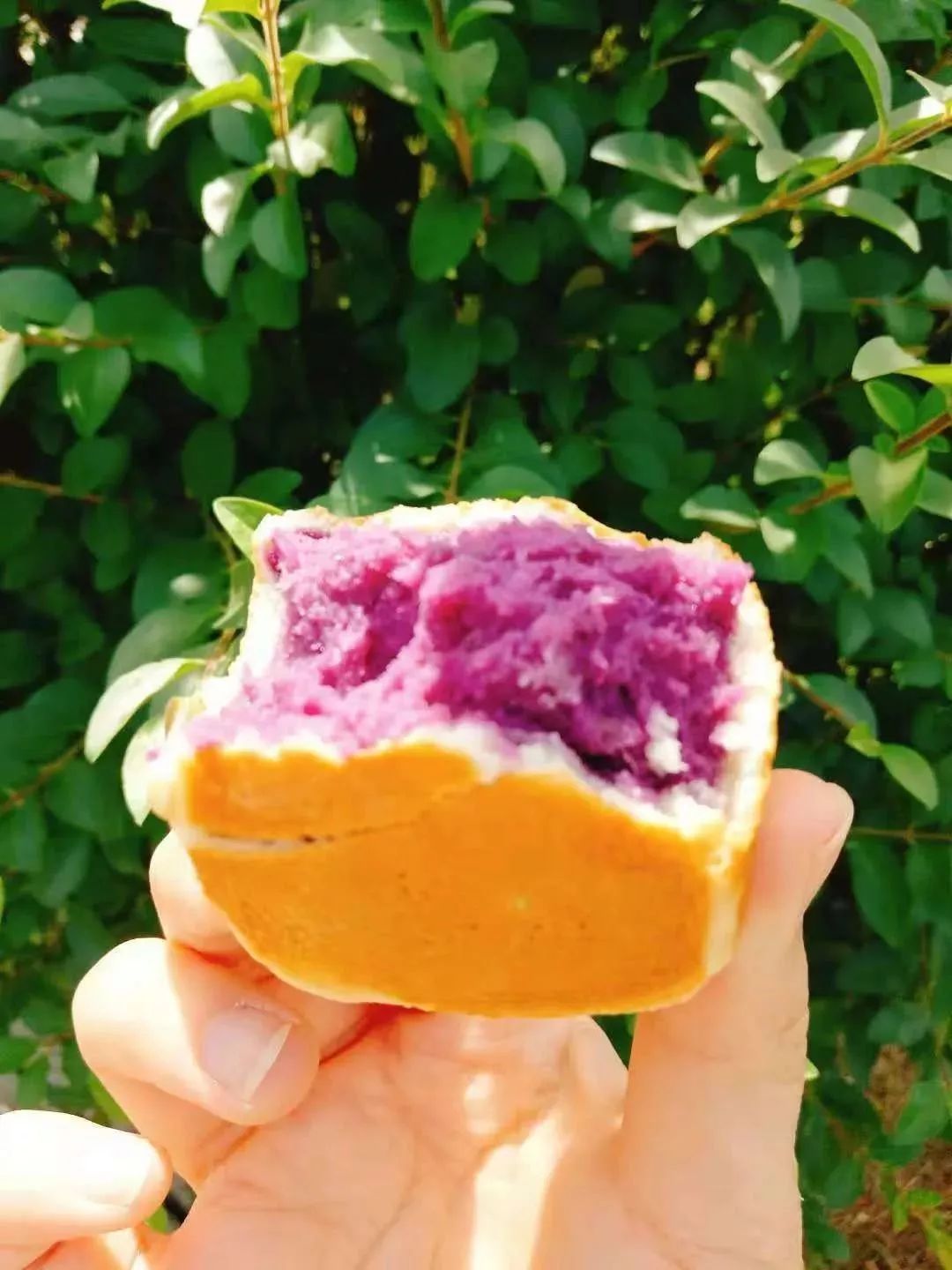 洛阳美食推荐六人餐,洛阳清淡的美食推荐店