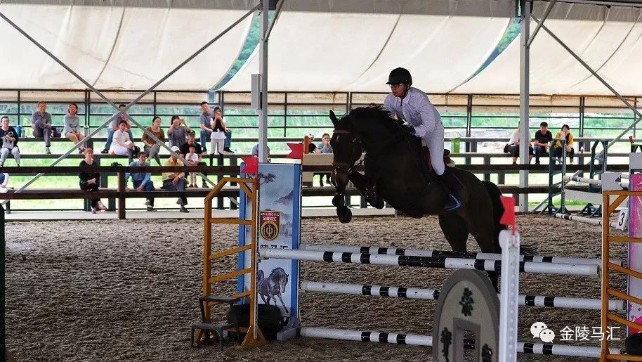 单项奖金132000元，“汤山温泉杯”第四届南京马术公开赛裁判员名单揭晓
