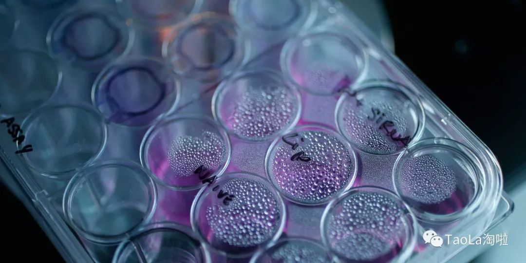 抗癌的特效药多少钱,十大抗癌药治癌最新